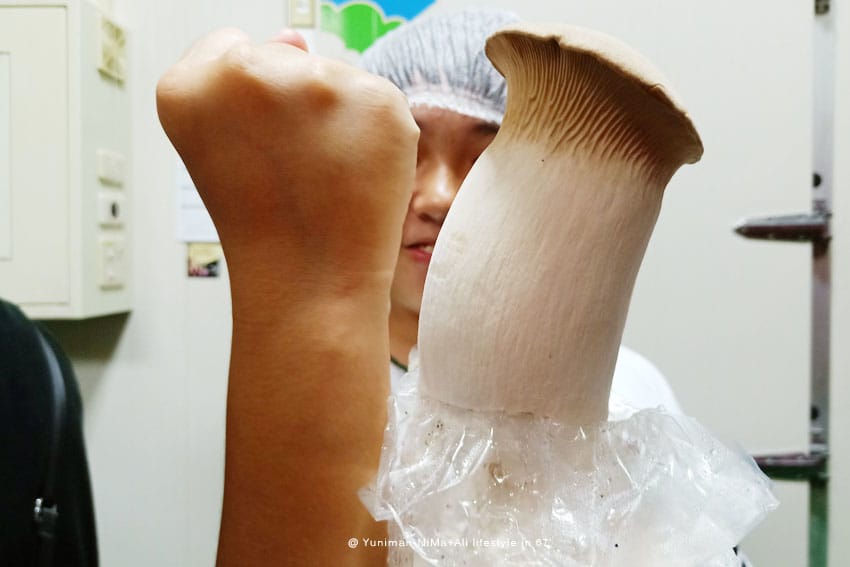 彰化景點:::魔菇部落生態休閒農場│參觀六星級菇菇的家，手作菇菇披薩好玩又好吃！