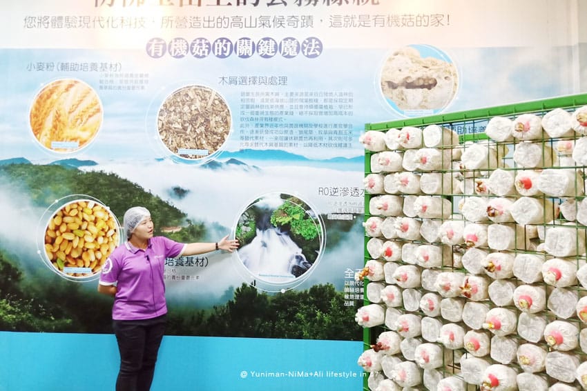 彰化景點:::魔菇部落生態休閒農場│參觀六星級菇菇的家，手作菇菇披薩好玩又好吃！