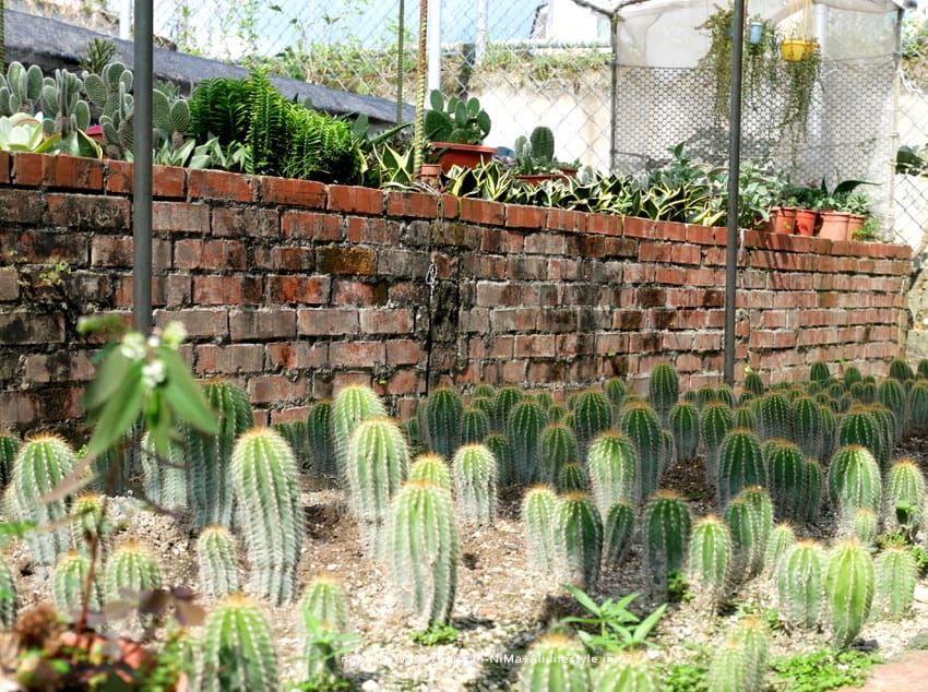 046.jpg 046.jpg