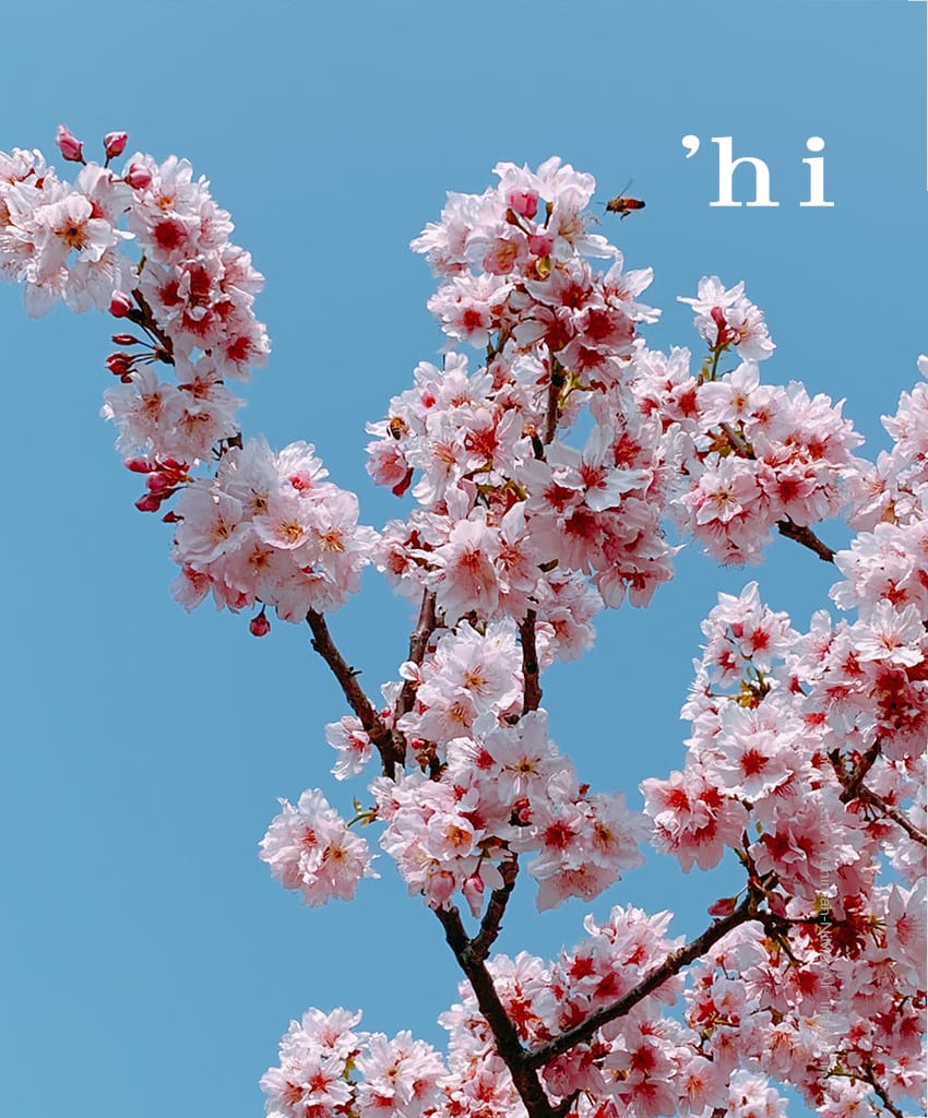015.jpg 015.jpg