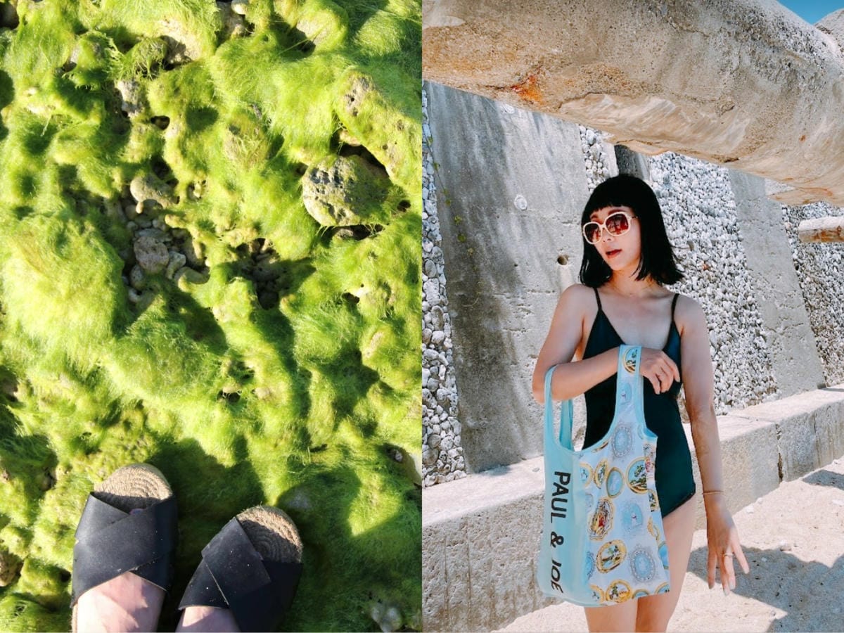 S__6201347.jpg S__6201347.jpg