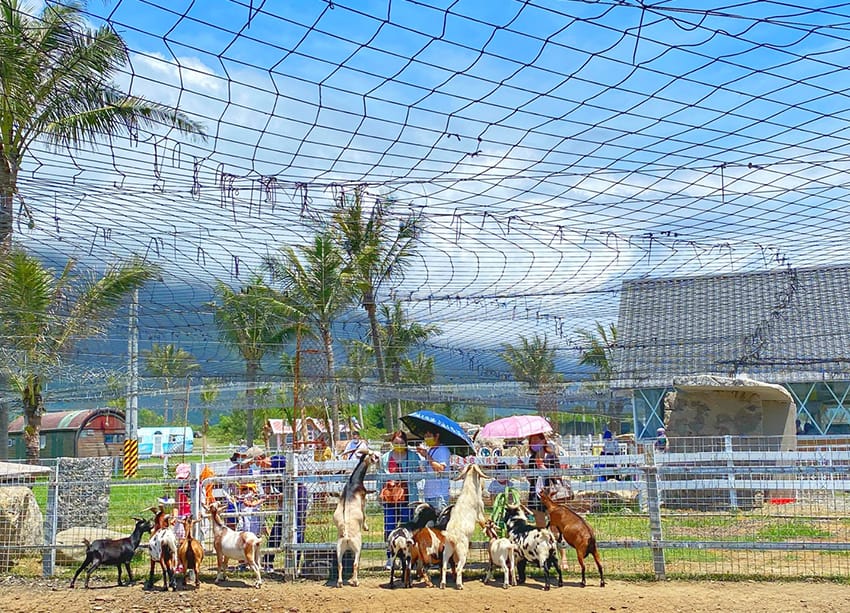 花蓮崇德營農場 花蓮景點 048.jpg 花蓮崇德營農場 花蓮景點 048.jpg