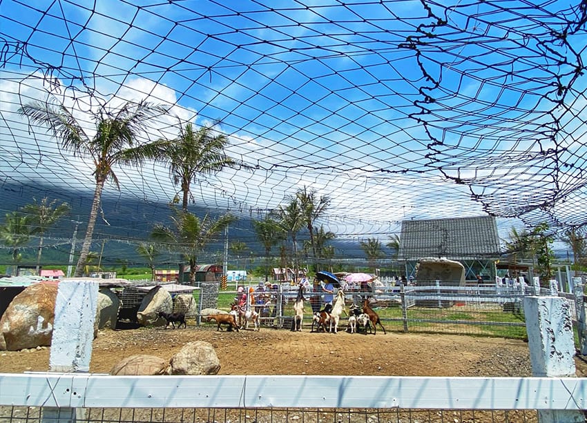 花蓮崇德營農場 花蓮景點 049.jpg 花蓮崇德營農場 花蓮景點 049.jpg
