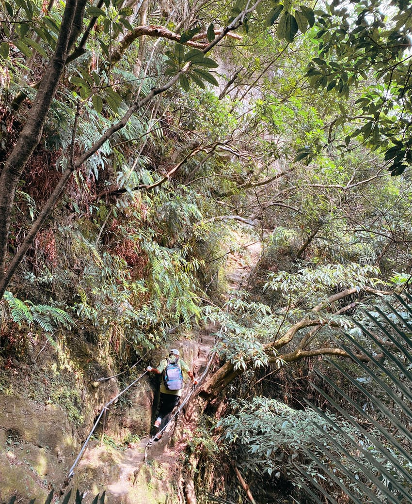 孝子山慈母峰普陀山新北登山步道062.jpg 孝子山慈母峰普陀山新北登山步道062.jpg