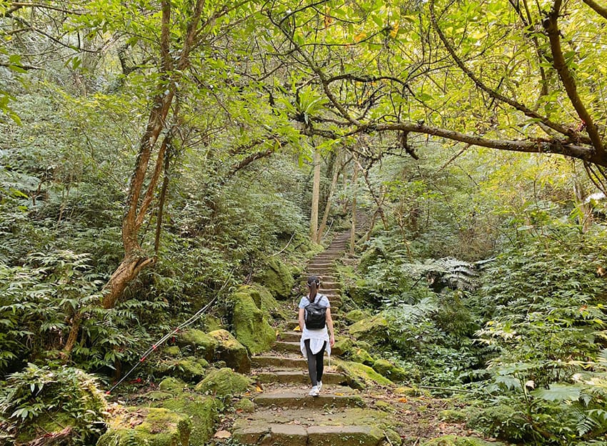 孝子山慈母峰普陀山新北登山066.jpg 孝子山慈母峰普陀山新北登山066.jpg