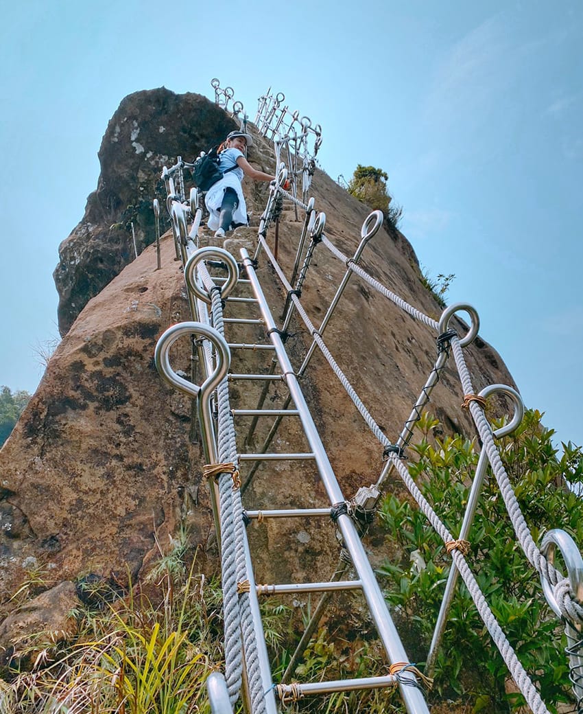 孝子山慈母峰普陀山新北登山步道056.jpg 孝子山慈母峰普陀山新北登山步道056.jpg