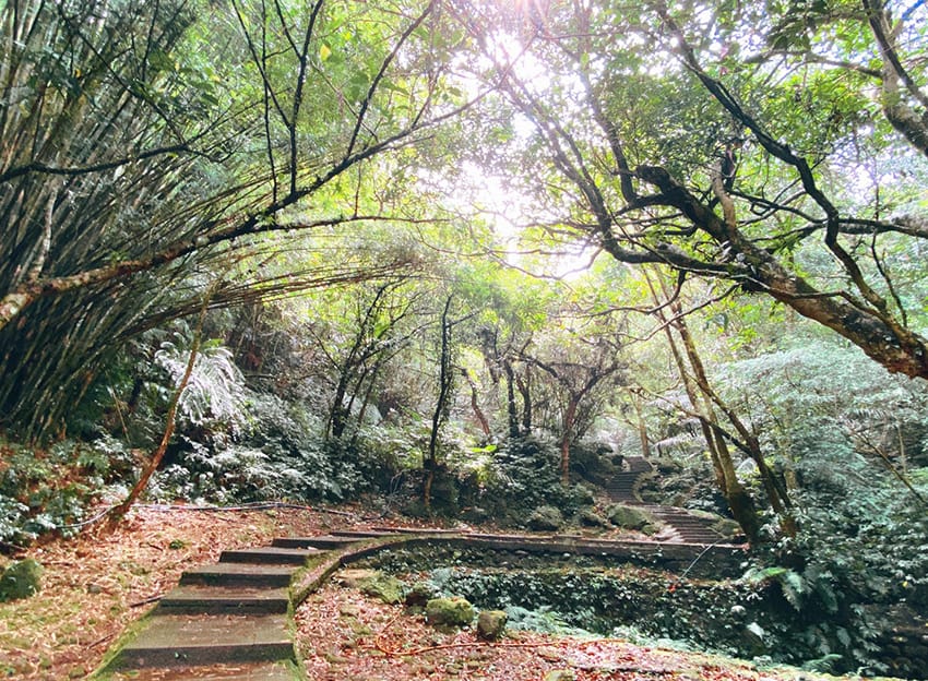 孝子山慈母峰普陀山新北登山09.jpg 孝子山慈母峰普陀山新北登山09.jpg