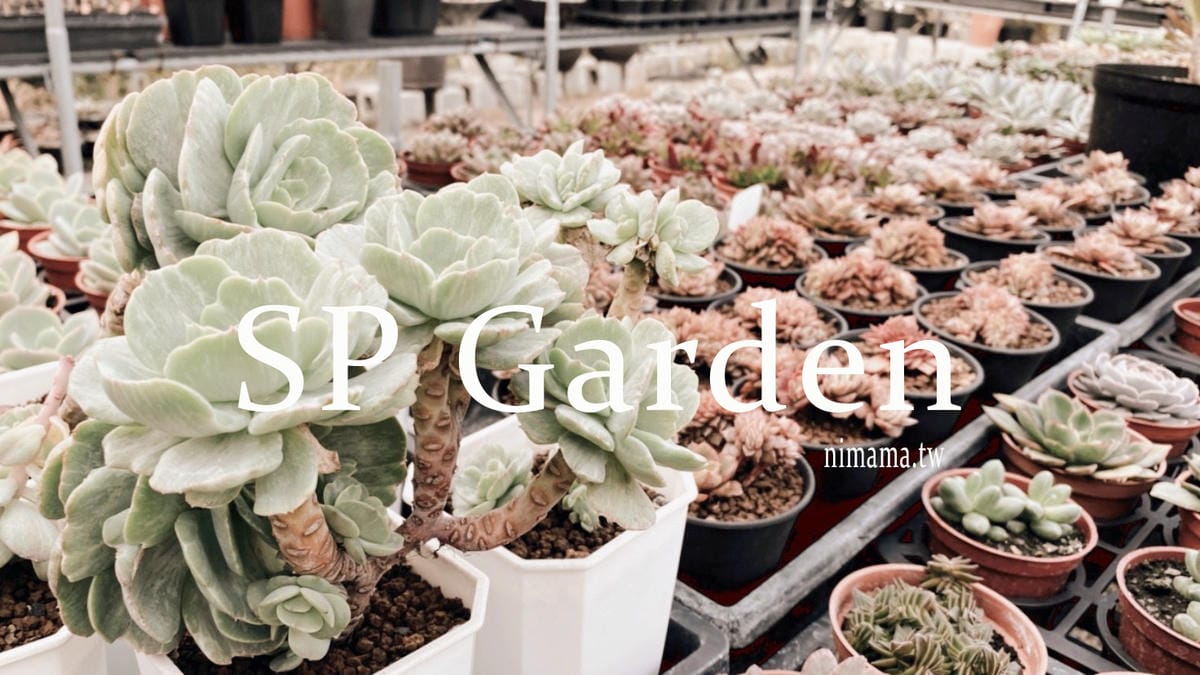 多肉種植專家SP Garden精品多肉 彰化景點多肉植物 (31).jpg 多肉種植專家SP Garden精品多肉 彰化景點多肉植物 (31).jpg