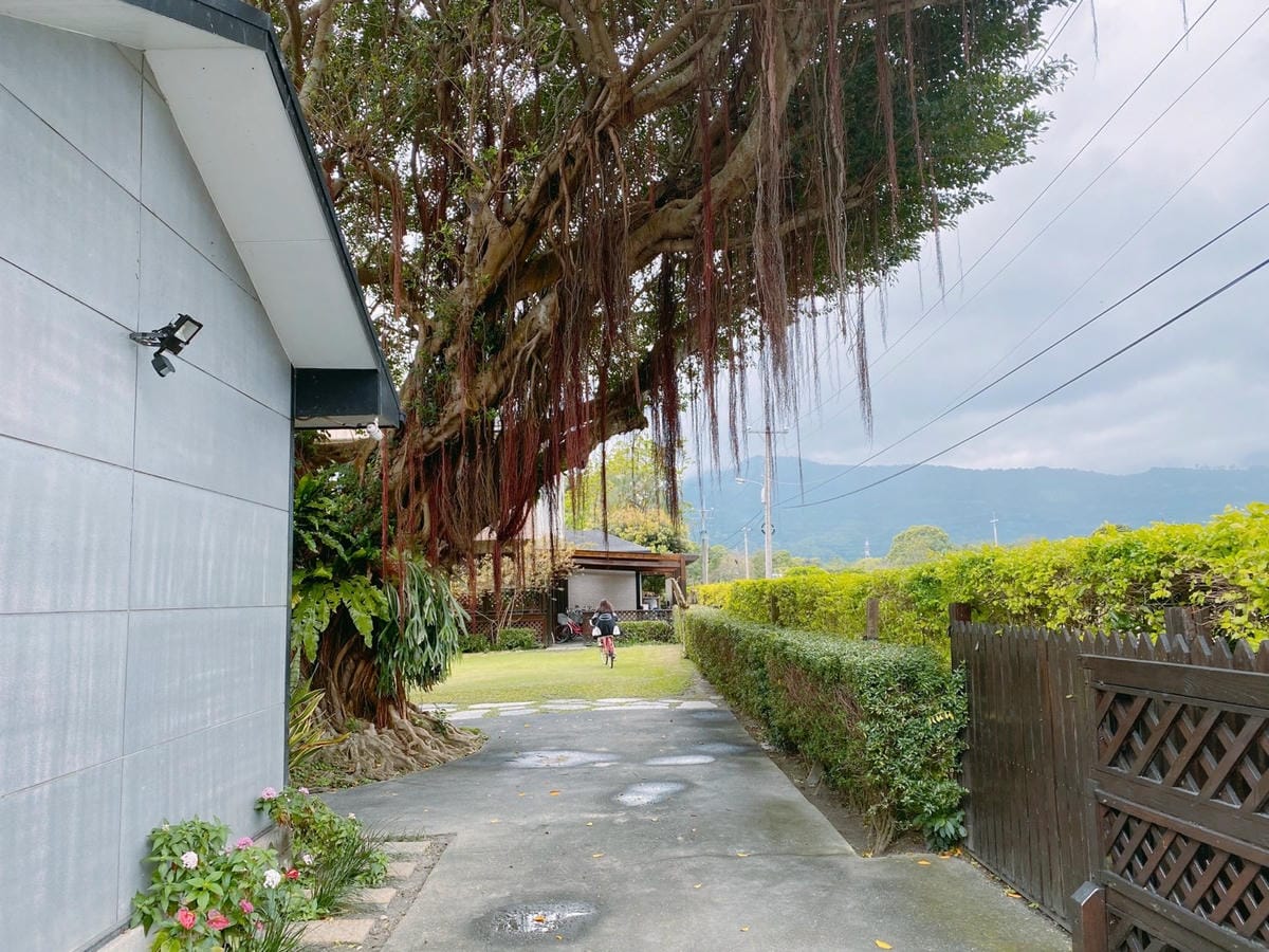 63花蓮吉安親子住宿金澤居綠色隧道民宿騎車步道.jpg
