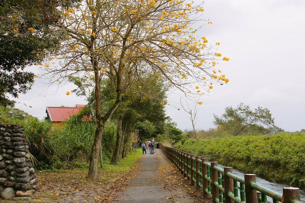 58花蓮吉安親子住宿金澤居綠色隧道民宿騎車步道.jpg