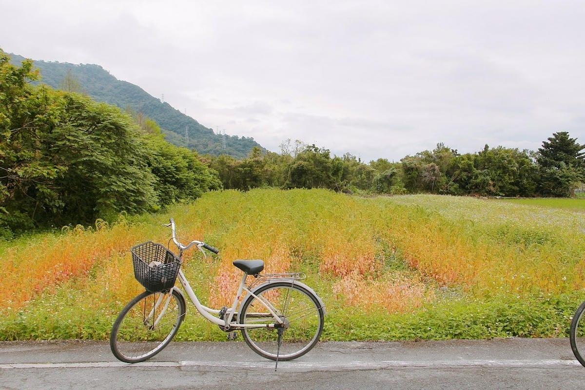 6花蓮吉安親子住宿金澤居綠色隧道民宿騎車步道.jpg
