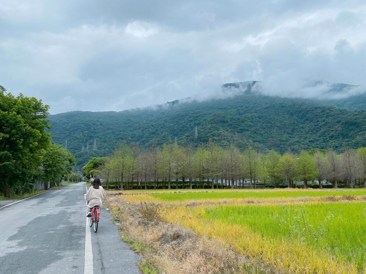 97花蓮吉安親子住宿金澤居綠色隧道民宿騎車步道.jpg