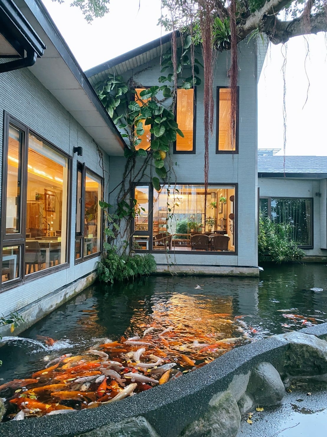 17花蓮吉安親子住宿金澤居綠色隧道民宿.jpg 17花蓮吉安親子住宿金澤居綠色隧道民宿.jpg