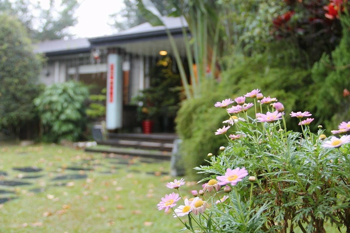 45花蓮吉安親子住宿金澤居綠色隧道民宿.jpg 45花蓮吉安親子住宿金澤居綠色隧道民宿.jpg