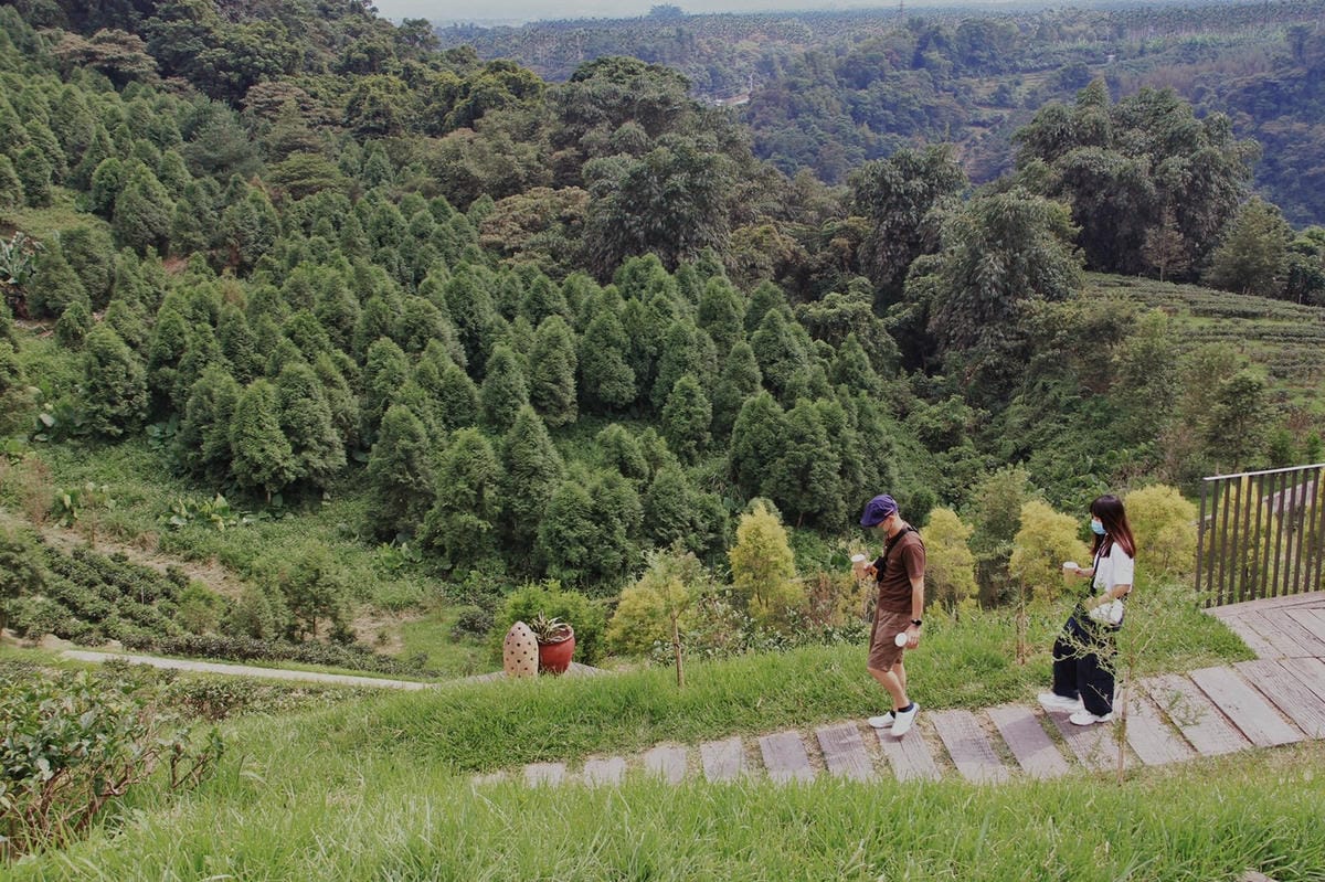 南投魚池鹿篙咖啡莊園茶園南投景點隱秘山間林境日月潭 (9).jpg