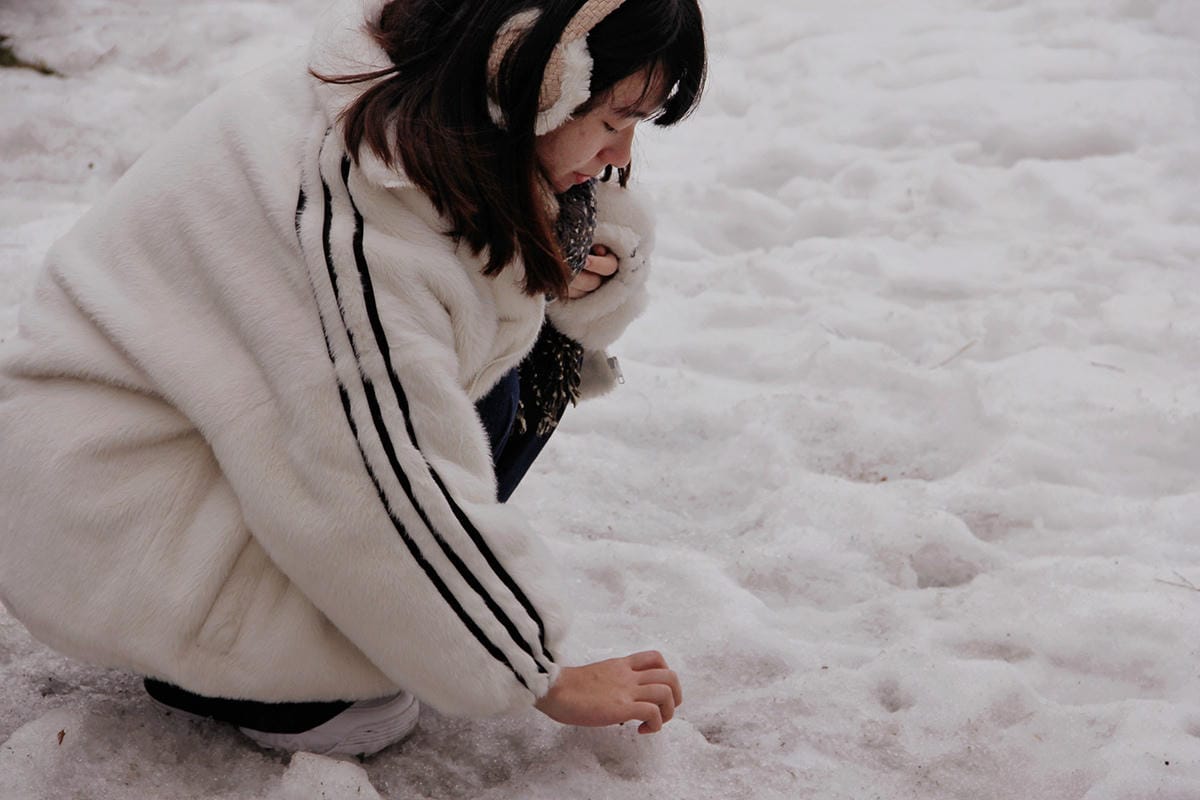 馬放牧地마방목지 濟州島景點濟州島雪景7.JPG