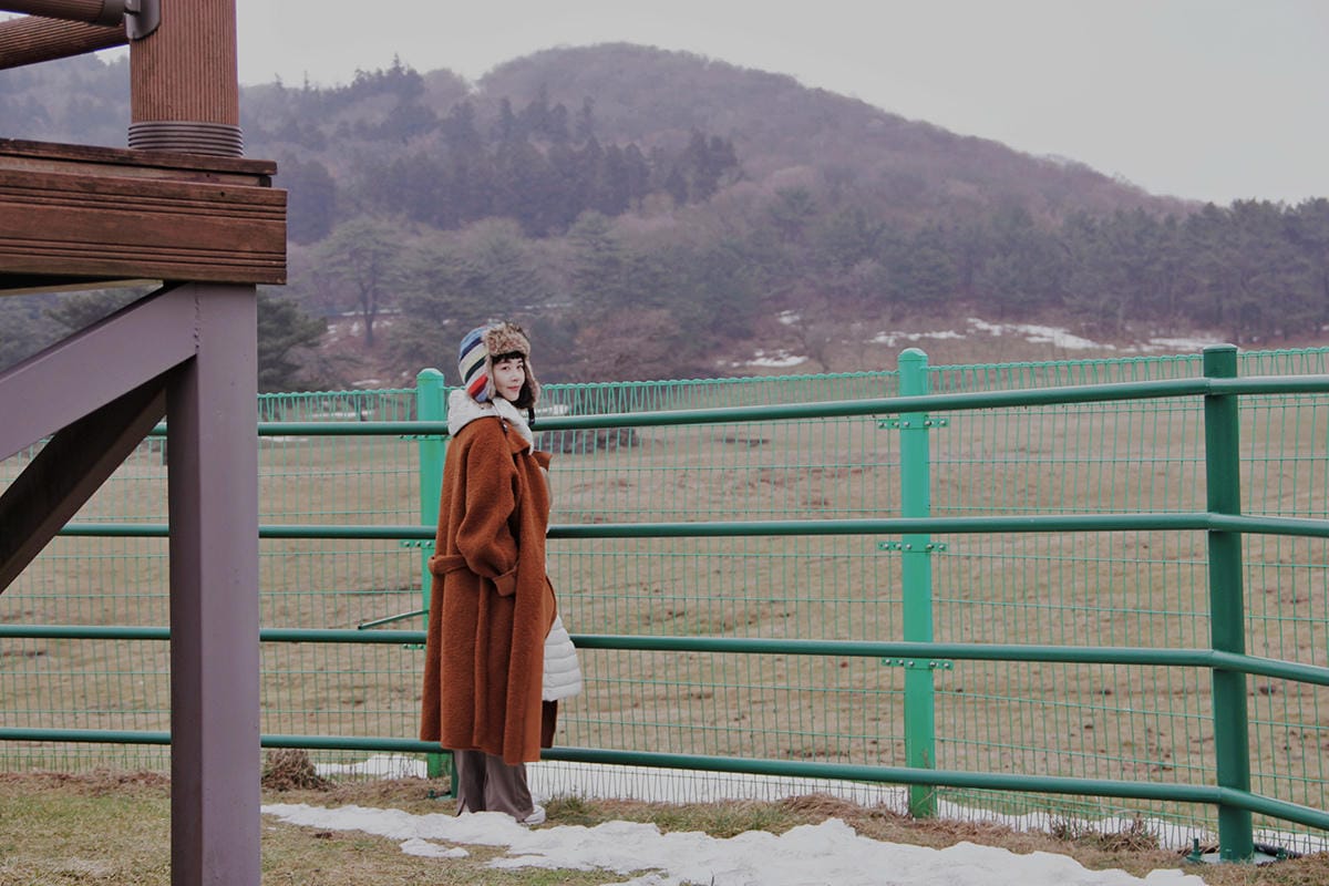 馬放牧地마방목지 濟州島景點濟州島雪景11.JPG