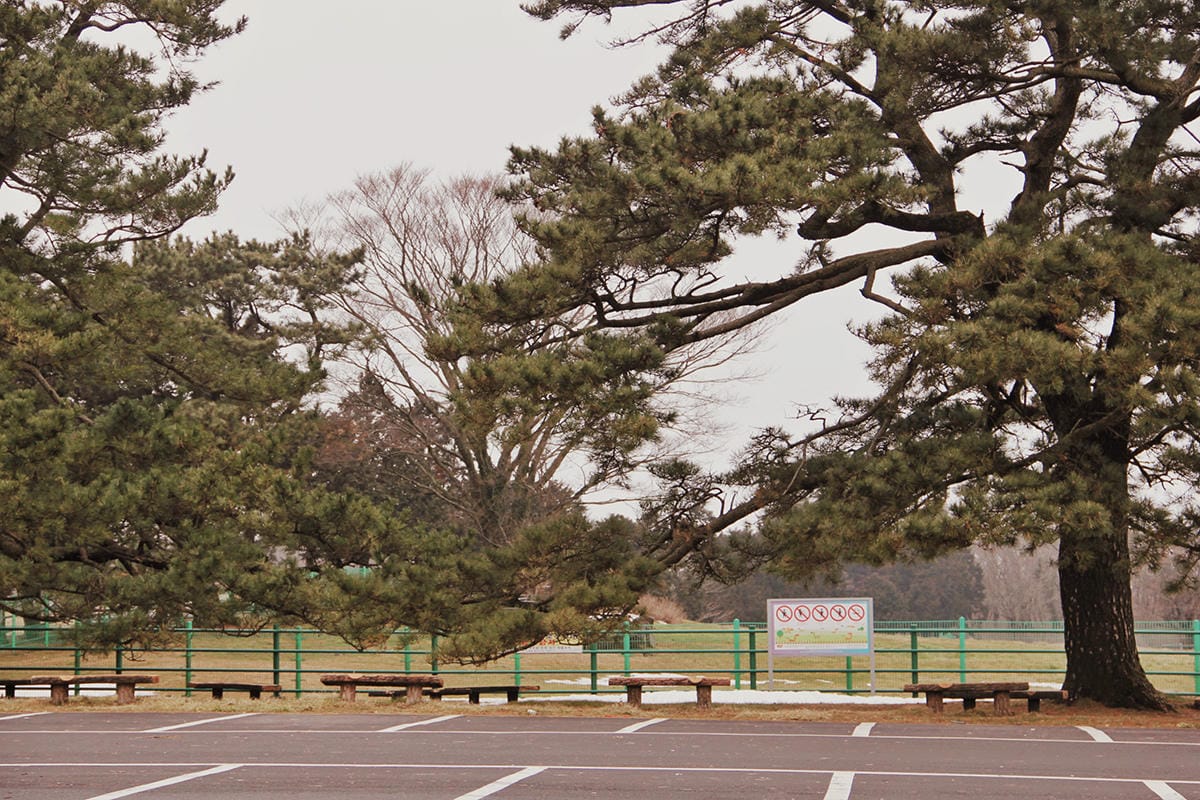馬放牧地마방목지 濟州島景點濟州島雪景26.JPG