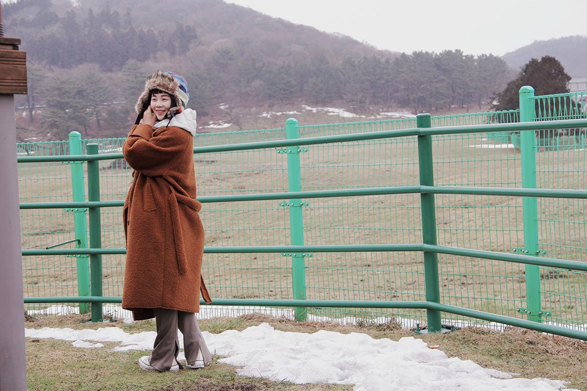 馬放牧地마방목지 濟州島景點濟州島雪景13.JPG