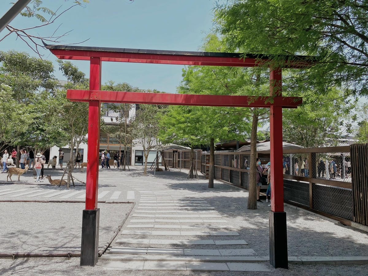 宜蘭張美阿嬤農場笑笑羊黑面羊餵梅花鹿水豚君草泥馬 (23).jpg
