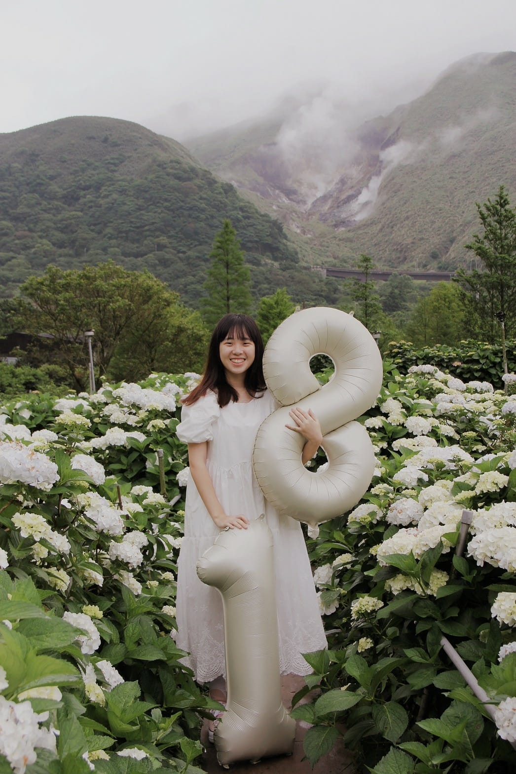 大賞園繡球花陽明山花季2023繡球花白繡球花 (45).jpg 大賞園繡球花陽明山花季2023繡球花白繡球花 (45).jpg