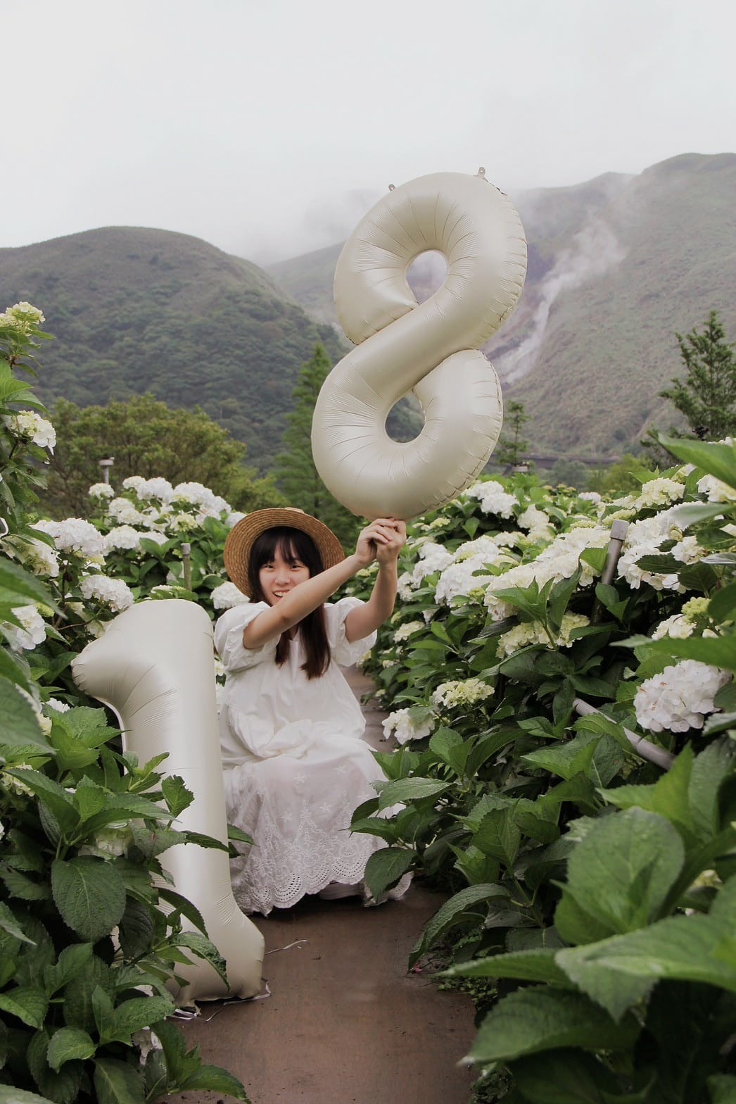 大賞園繡球花陽明山花季2023繡球花白繡球花 (55).jpg 大賞園繡球花陽明山花季2023繡球花白繡球花 (55).jpg