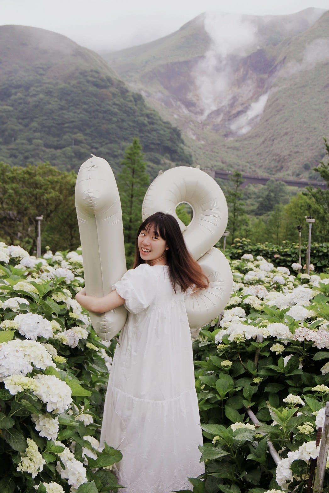 大賞園繡球花陽明山花季2023繡球花白繡球花 (68).jpg 大賞園繡球花陽明山花季2023繡球花白繡球花 (68).jpg