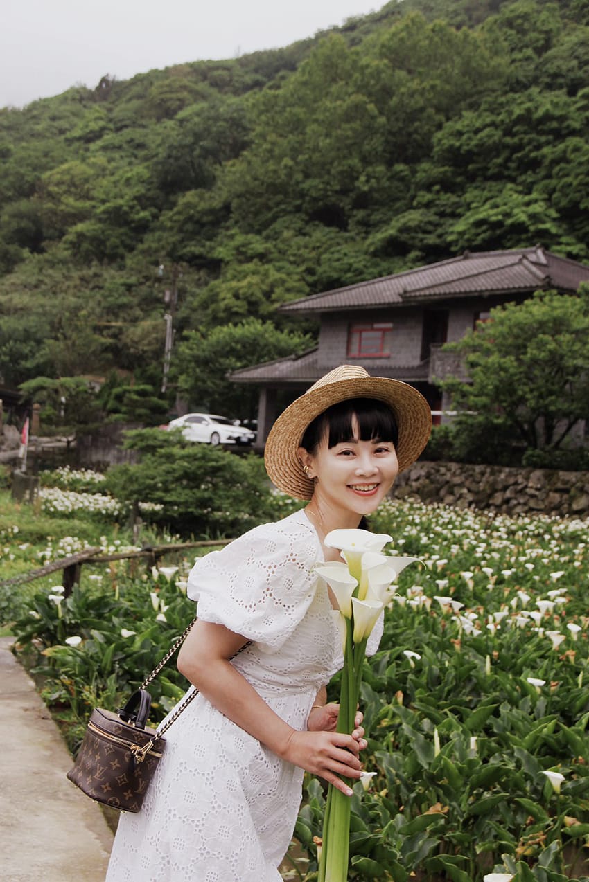 大賞園繡球花陽明山花季2023繡球花白繡球花 海 (6).jpg 大賞園繡球花陽明山花季2023繡球花白繡球花 海 (6).jpg