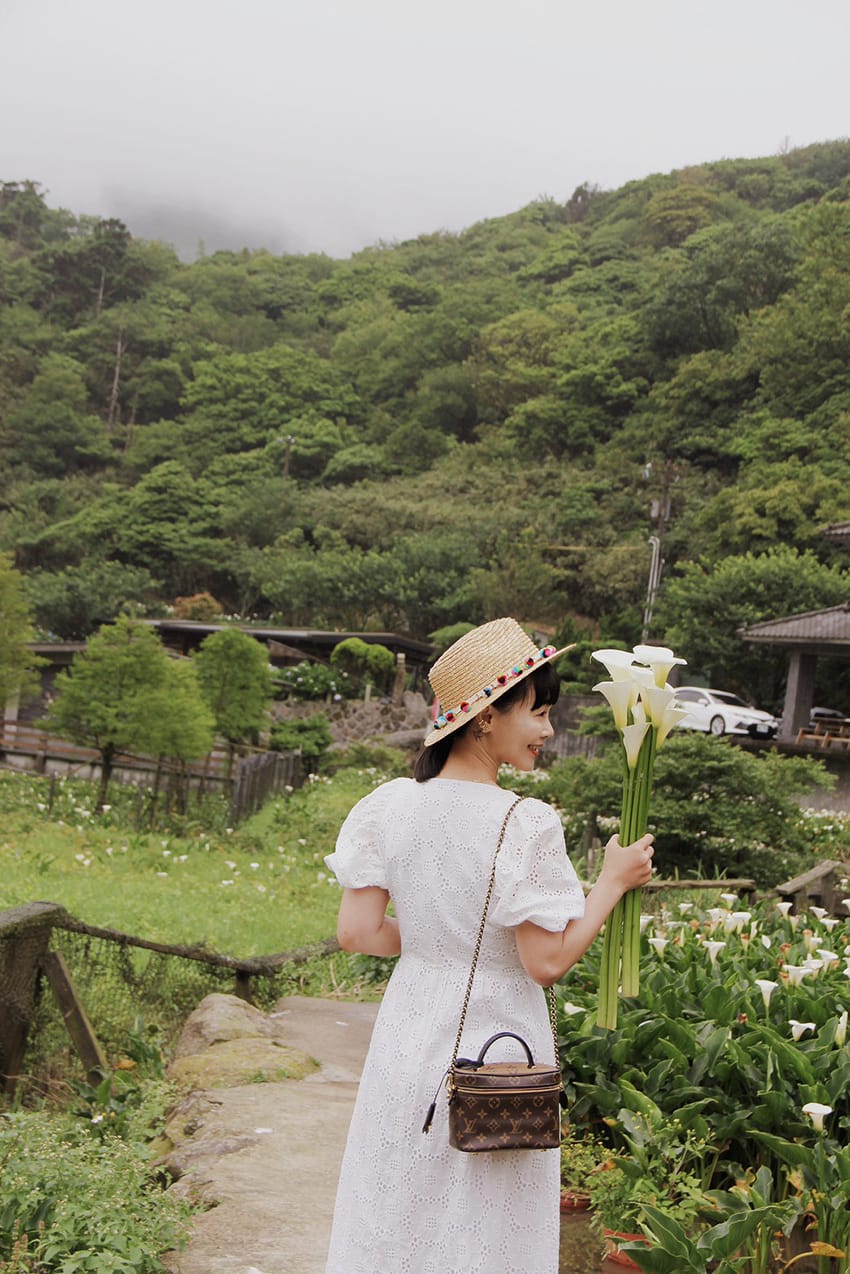 大賞園繡球花陽明山花季2023繡球花白繡球花 海 (2).jpg 大賞園繡球花陽明山花季2023繡球花白繡球花 海 (2).jpg