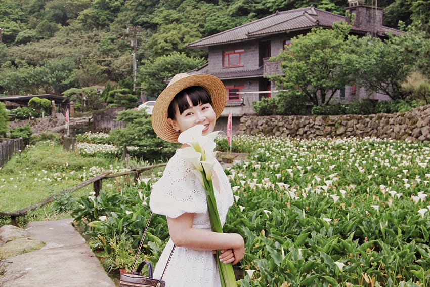 大賞園繡球花陽明山花季2023繡球花白繡球花 海 (9).jpg 大賞園繡球花陽明山花季2023繡球花白繡球花 海 (9).jpg