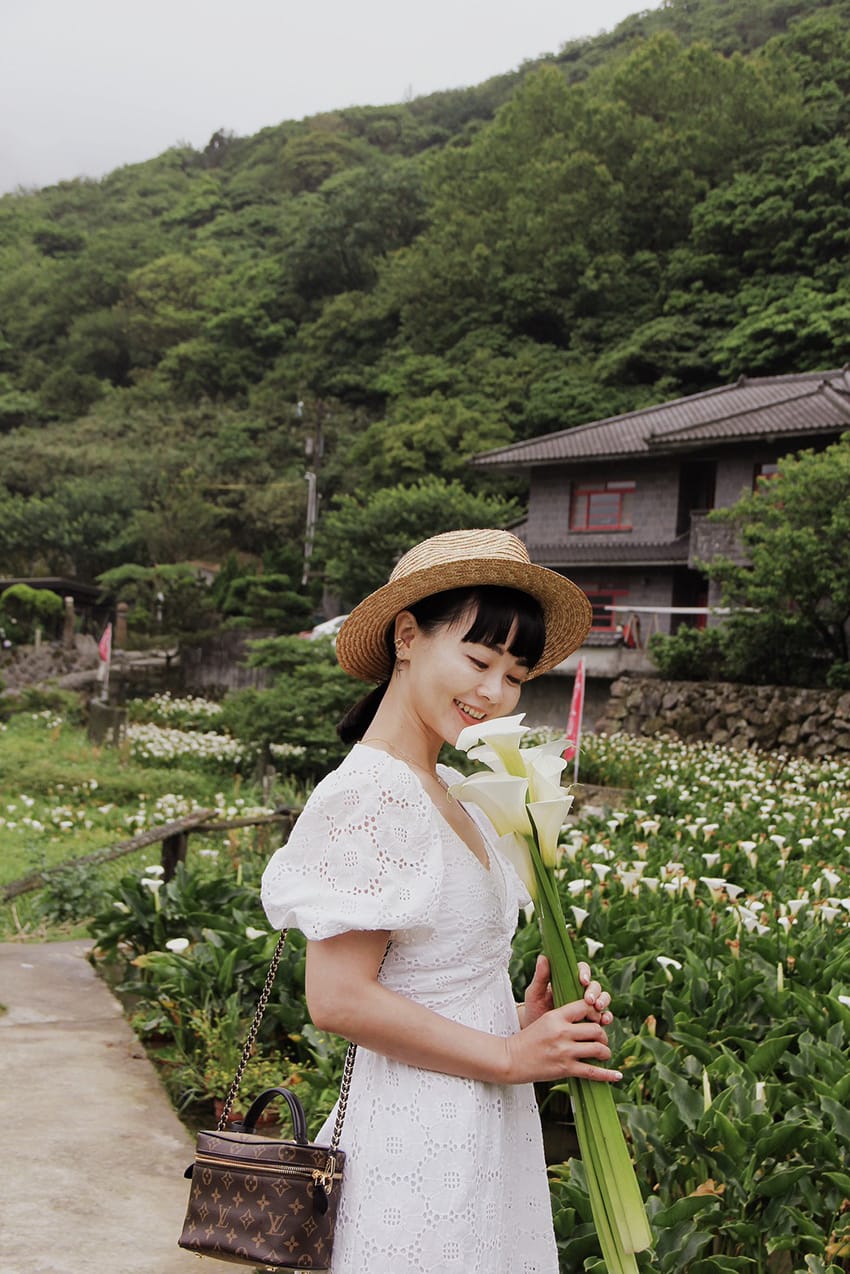 大賞園繡球花陽明山花季2023繡球花白繡球花 海 (5).jpg 大賞園繡球花陽明山花季2023繡球花白繡球花 海 (5).jpg