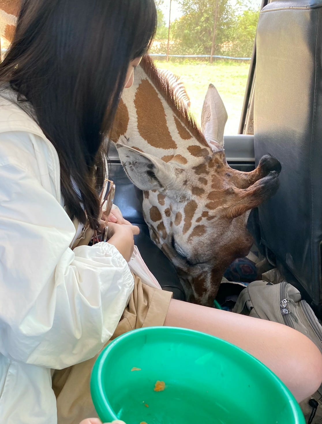 泰國北碧野生動物園包車Safari Park Kanchanaburi (148).jpg