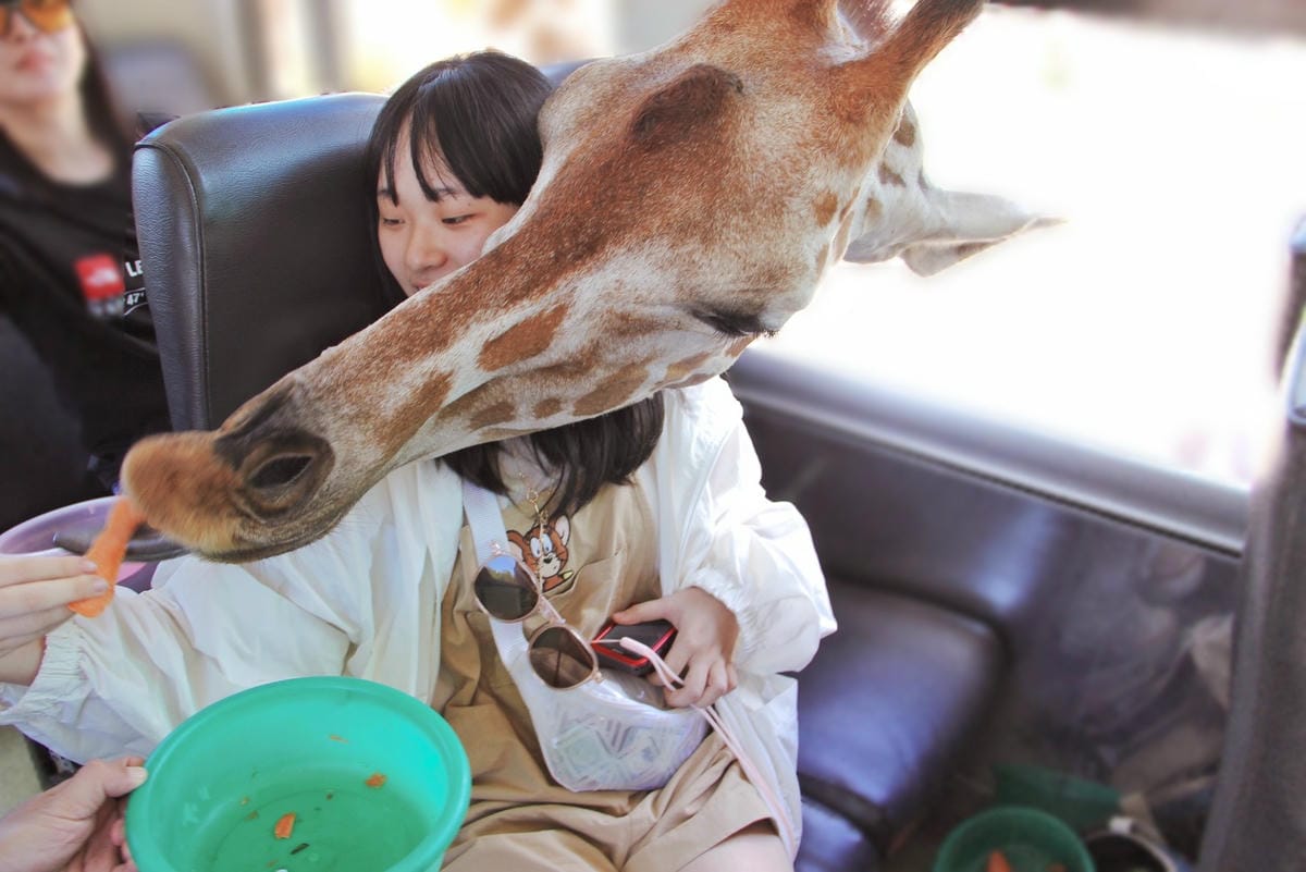 泰國北碧野生動物園包車Safari Park Kanchanaburi (15).jpg