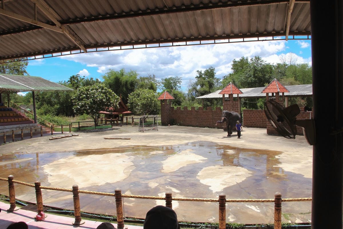 泰國北碧野生動物園包車Safari Park Kanchanaburi (34).jpg