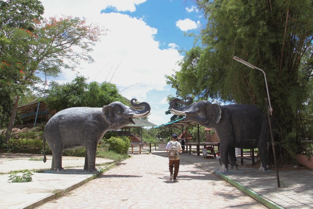 泰國北碧野生動物園包車Safari Park Kanchanaburi (30).jpg