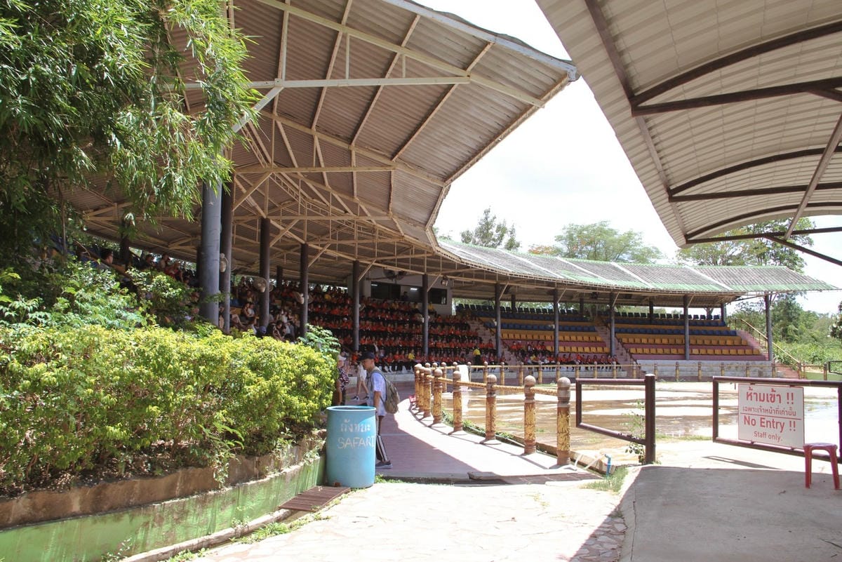 泰國北碧野生動物園包車Safari Park Kanchanaburi (31).jpg