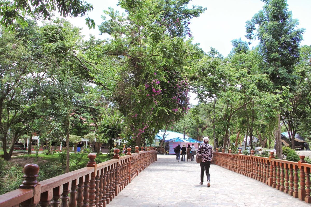 泰國北碧野生動物園包車Safari Park Kanchanaburi (20).jpg