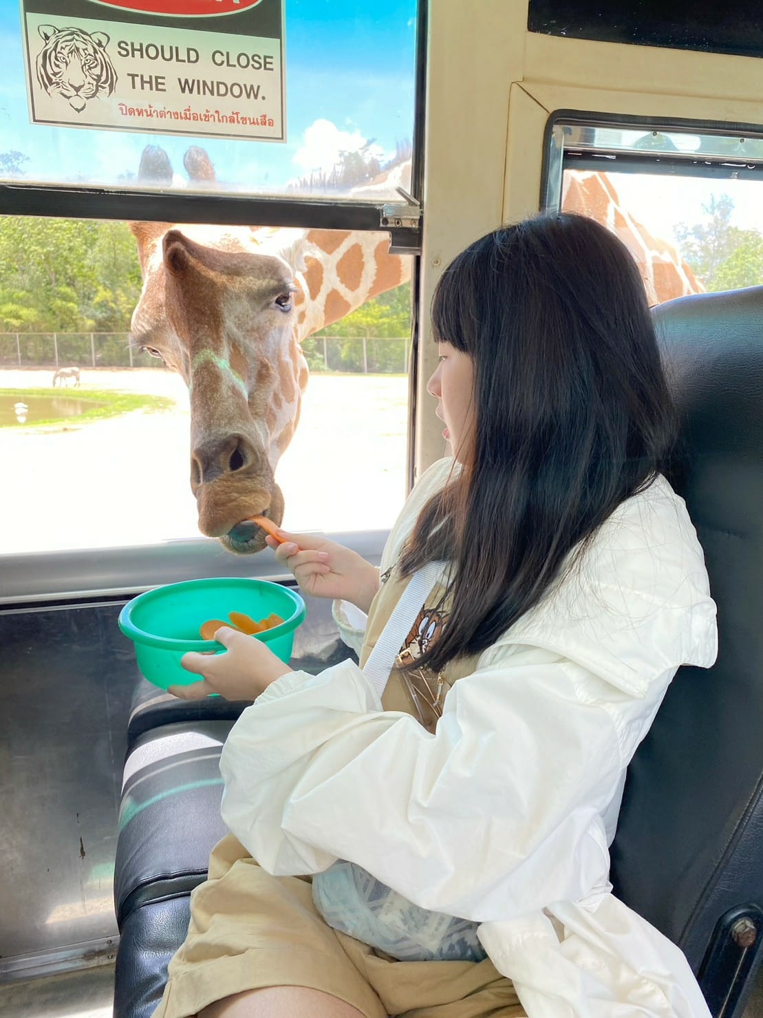 泰國北碧野生動物園包車Safari Park Kanchanaburi (2).jpg