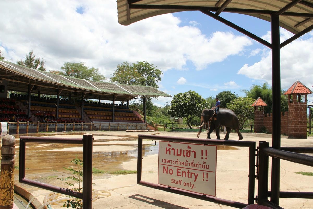 泰國北碧野生動物園包車Safari Park Kanchanaburi (32).jpg