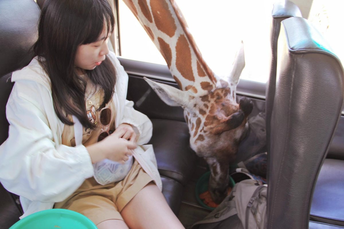 泰國北碧野生動物園包車Safari Park Kanchanaburi (16).jpg