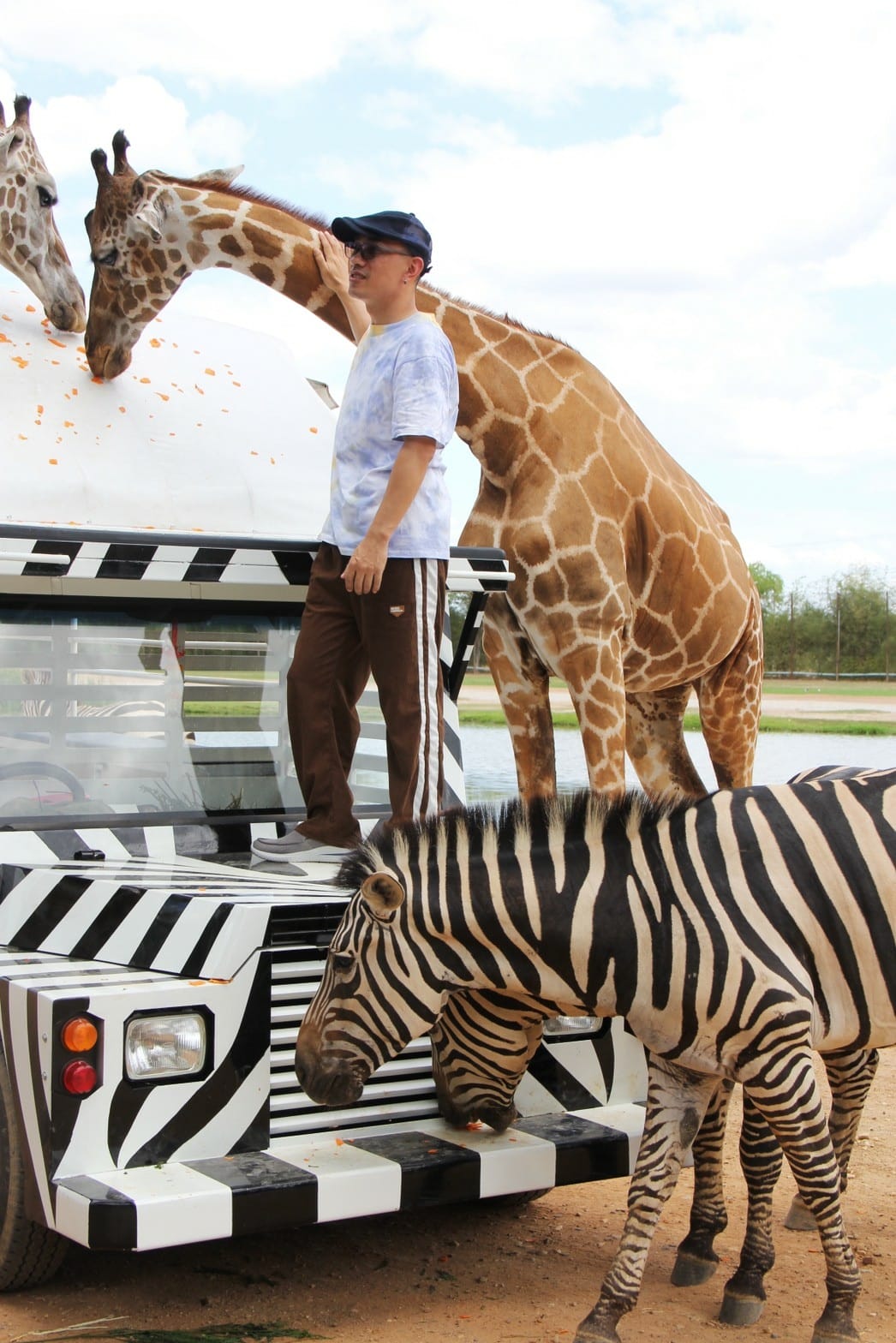 泰國北碧野生動物園包車Safari Park Kanchanaburi (56).jpg 泰國北碧野生動物園包車Safari Park Kanchanaburi (56).jpg