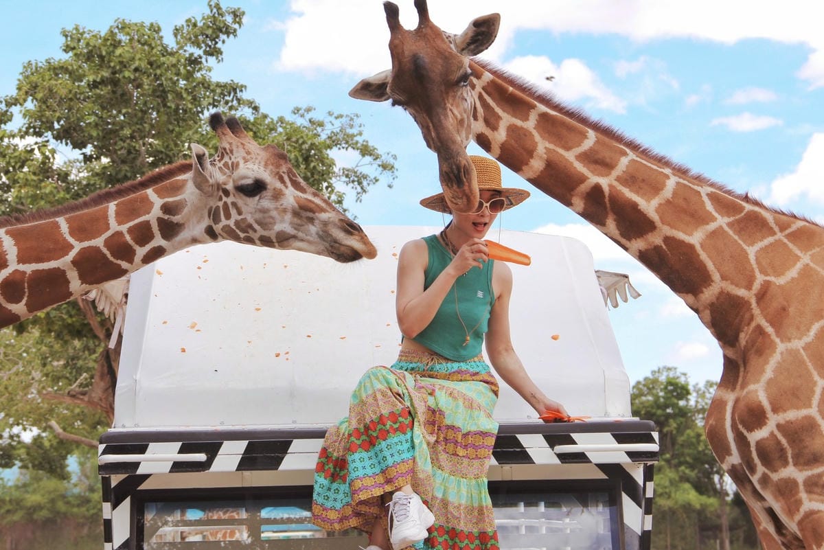 泰國北碧野生動物園包車Safari Park Kanchanaburi (70).jpg 泰國北碧野生動物園包車Safari Park Kanchanaburi (70).jpg