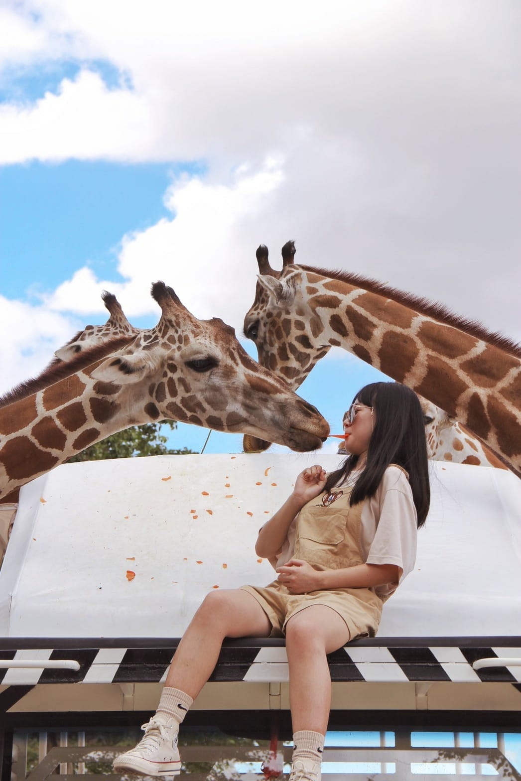 泰國北碧野生動物園包車Safari Park Kanchanaburi (116).jpg 泰國北碧野生動物園包車Safari Park Kanchanaburi (116).jpg