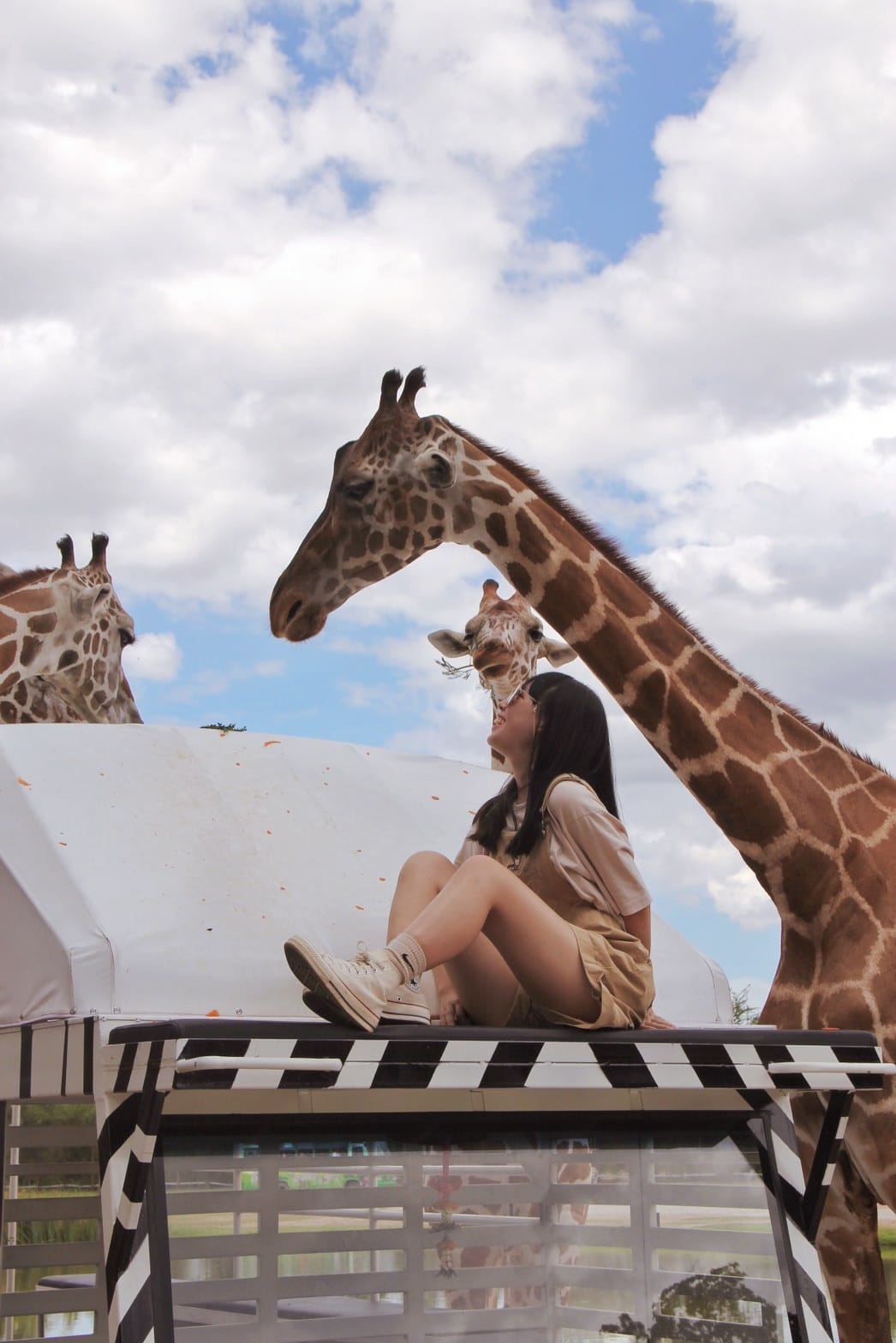泰國北碧野生動物園包車Safari Park Kanchanaburi (107).jpg 泰國北碧野生動物園包車Safari Park Kanchanaburi (107).jpg