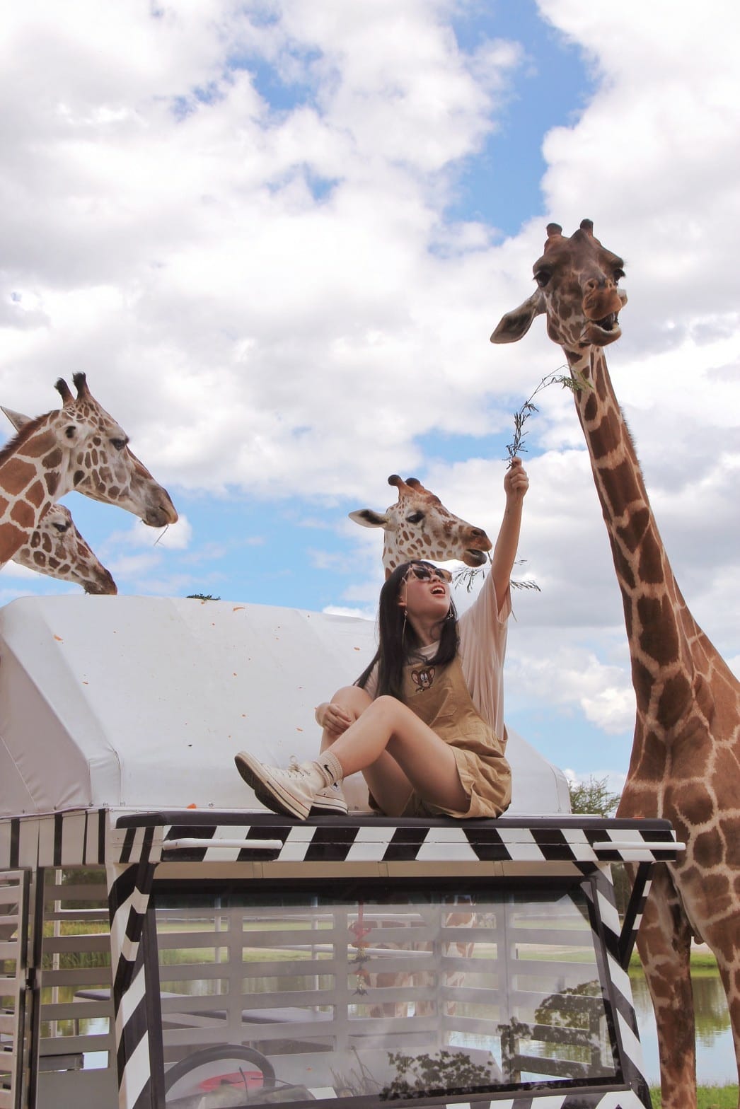 泰國北碧野生動物園包車Safari Park Kanchanaburi (103).jpg 泰國北碧野生動物園包車Safari Park Kanchanaburi (103).jpg