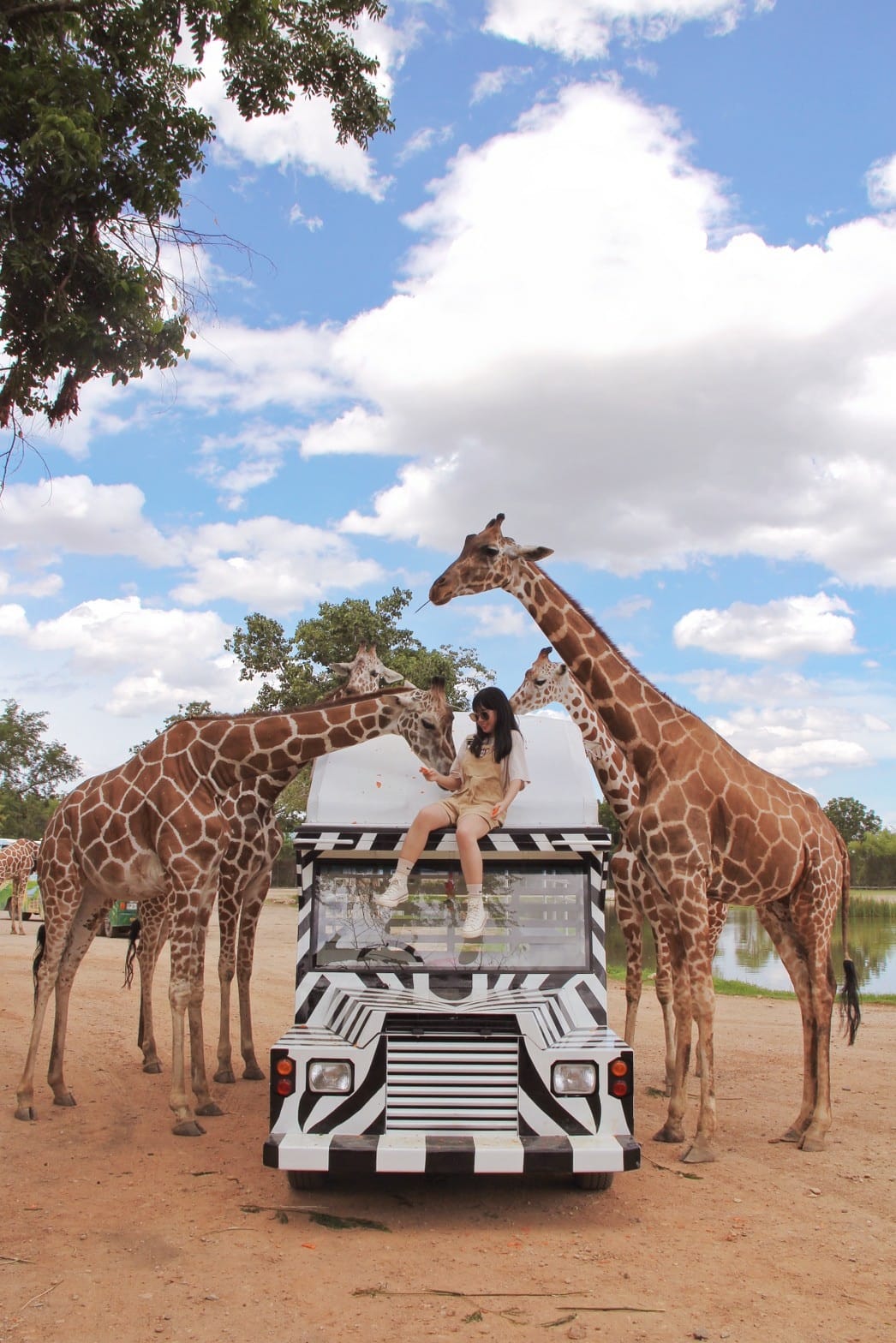 泰國北碧野生動物園包車Safari Park Kanchanaburi (113).jpg 泰國北碧野生動物園包車Safari Park Kanchanaburi (113).jpg