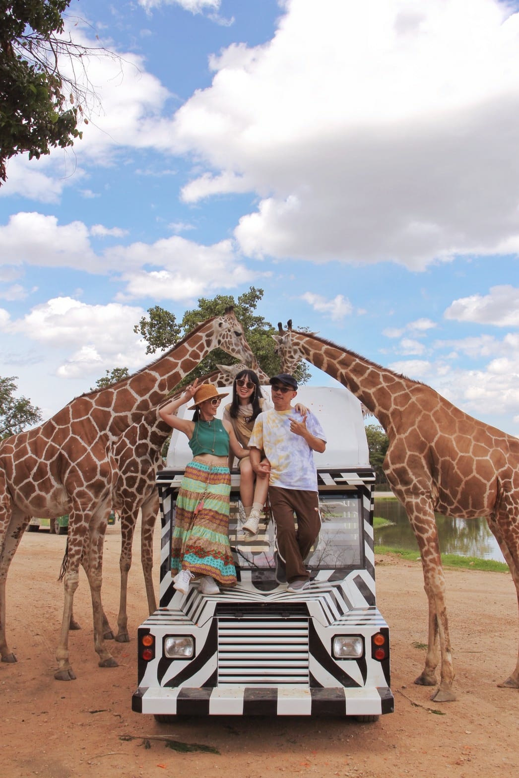 泰國北碧野生動物園包車Safari Park Kanchanaburi (124).jpg 泰國北碧野生動物園包車Safari Park Kanchanaburi (124).jpg