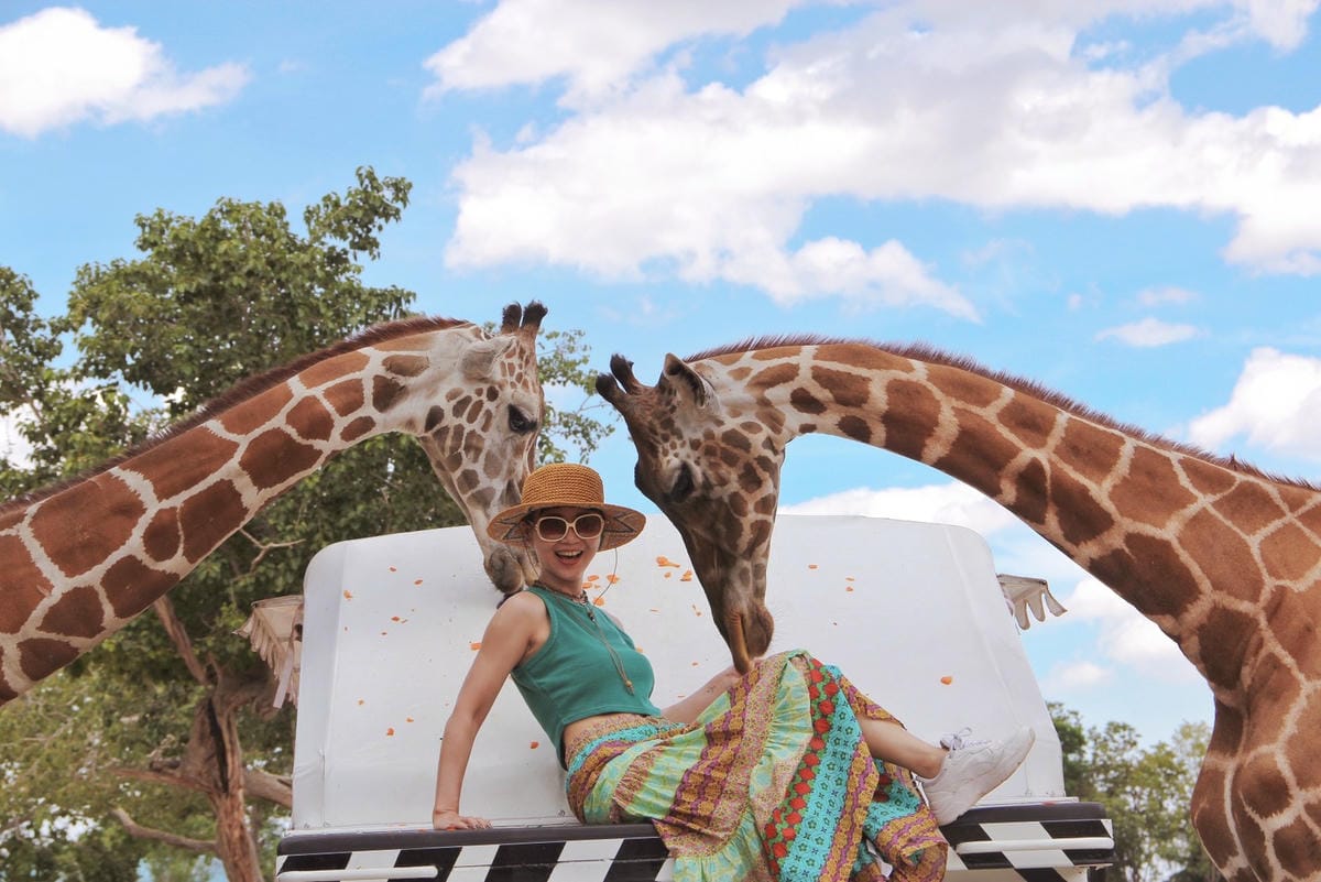 泰國北碧野生動物園包車Safari Park Kanchanaburi (75).jpg 泰國北碧野生動物園包車Safari Park Kanchanaburi (75).jpg