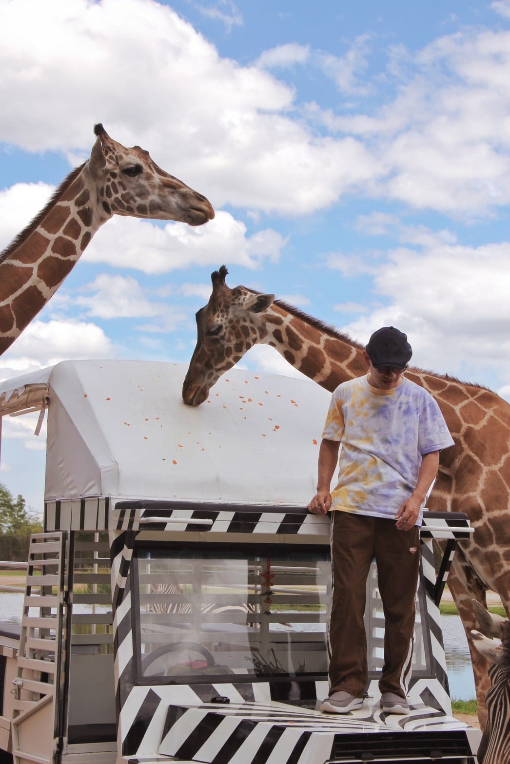 泰國北碧野生動物園包車Safari Park Kanchanaburi (55).jpg 泰國北碧野生動物園包車Safari Park Kanchanaburi (55).jpg
