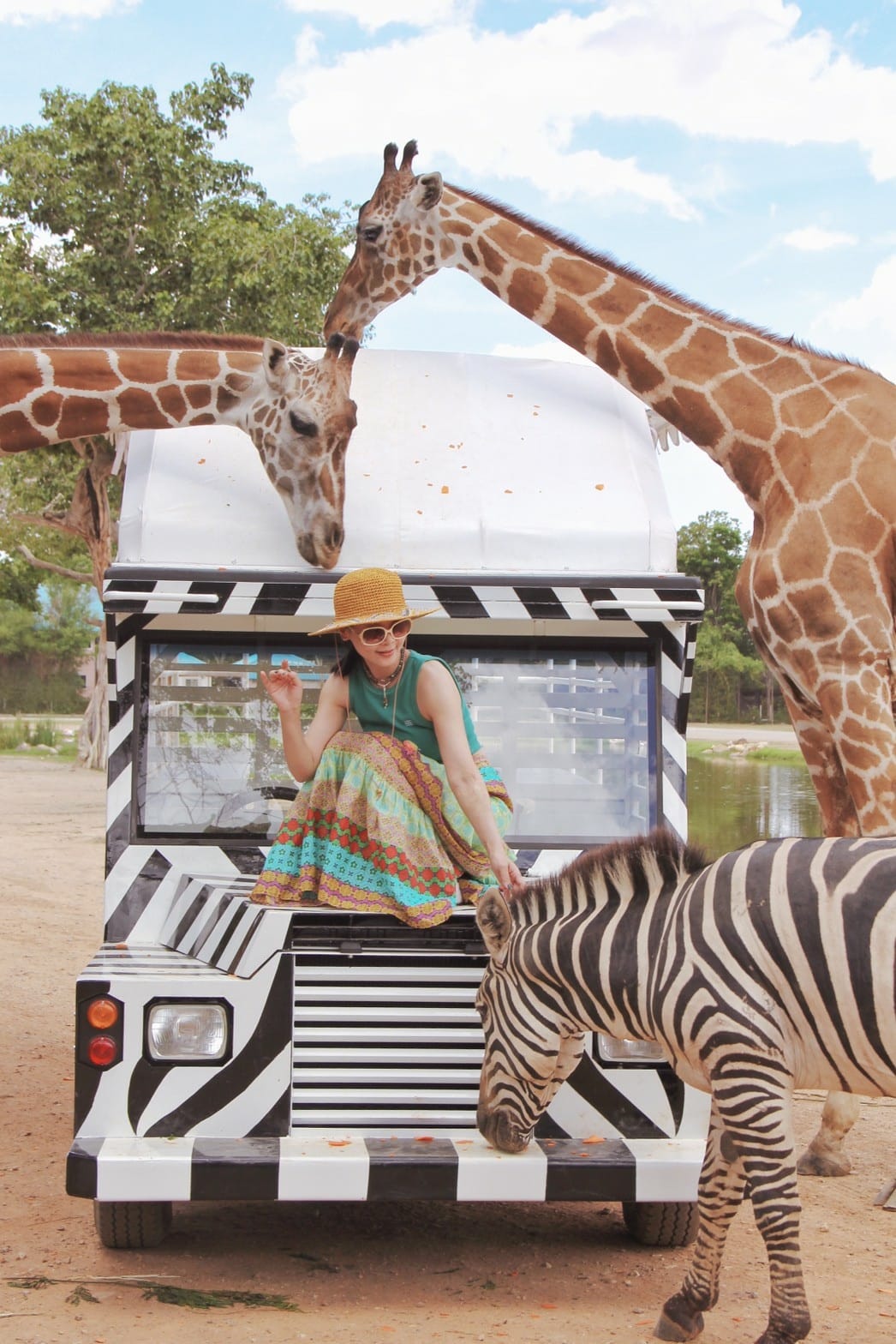 泰國北碧野生動物園包車Safari Park Kanchanaburi (80).jpg 泰國北碧野生動物園包車Safari Park Kanchanaburi (80).jpg